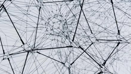 Toward a Network Theory of Family Change