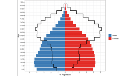 Understanding Disability and Life Expectancy in Mexico: New Insights