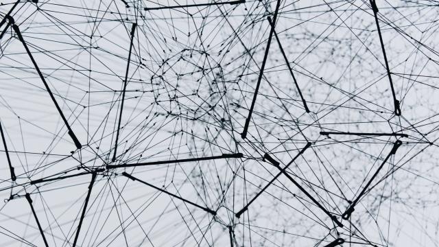 Toward a Network Theory of Family Change