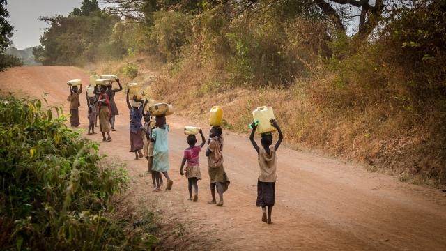 Health and Complexity in South and Sub-Saharan Africa