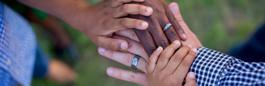 Fertility and Family Formation